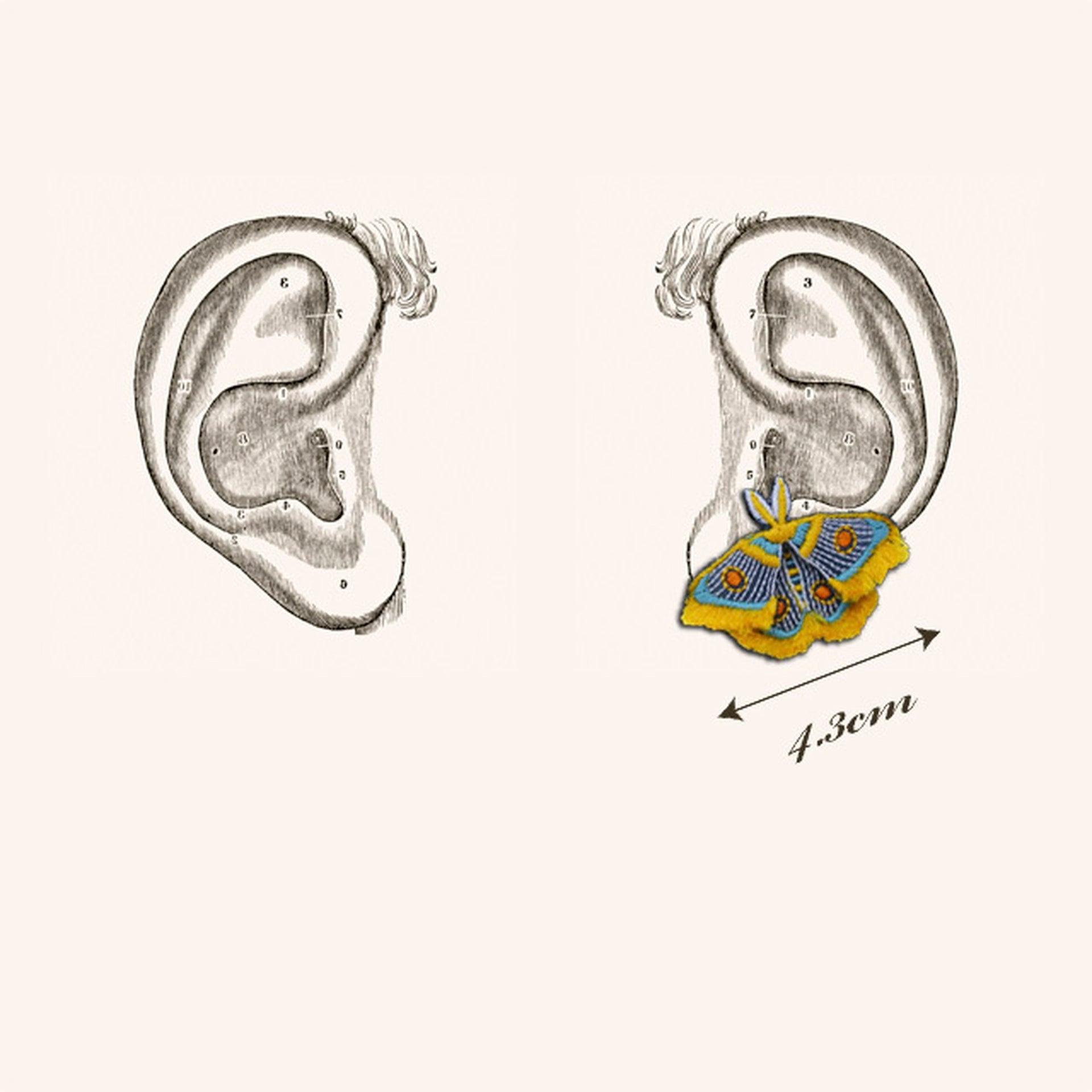 MOTH / EARRING EAR-CLIP / YELLOW