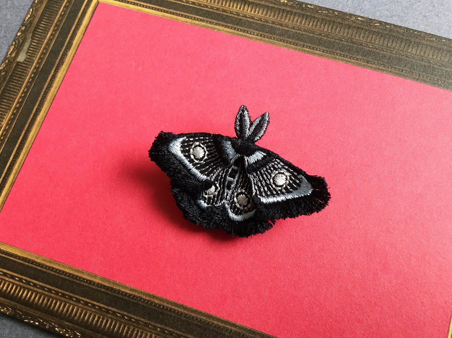 MOTH / BROOCH / BLACK