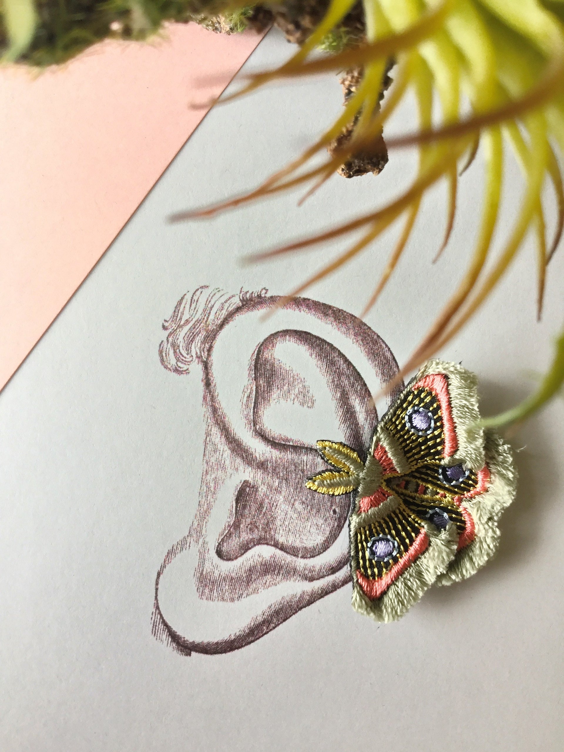 MOTH / EARRING EAR-CLIP / GRAY