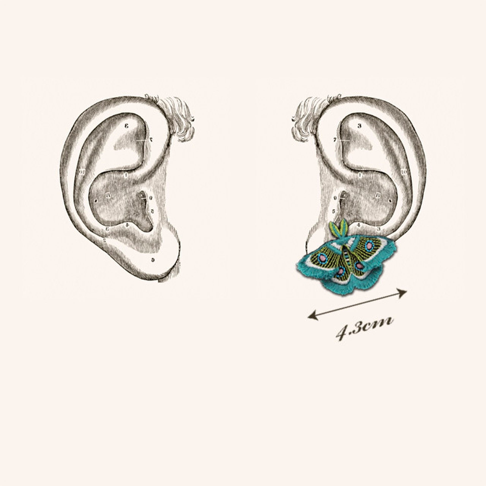 MOTH / EARRING EAR-CLIP / GREEN