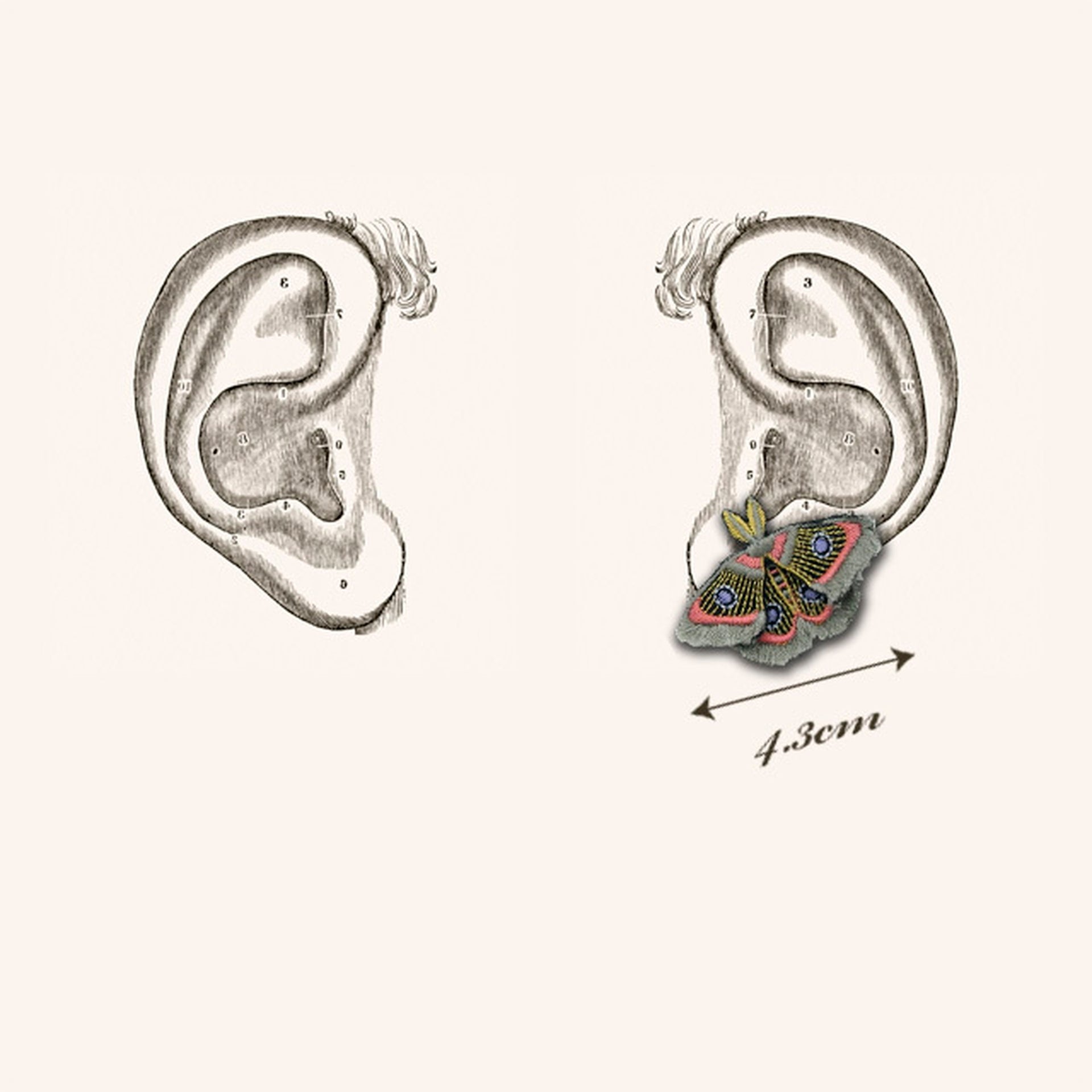 MOTH / EARRING EAR-CLIP / GRAY