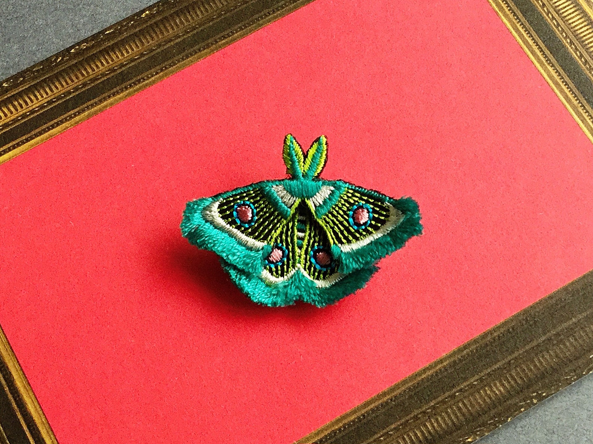 MOTH / BROOCH / GREEN