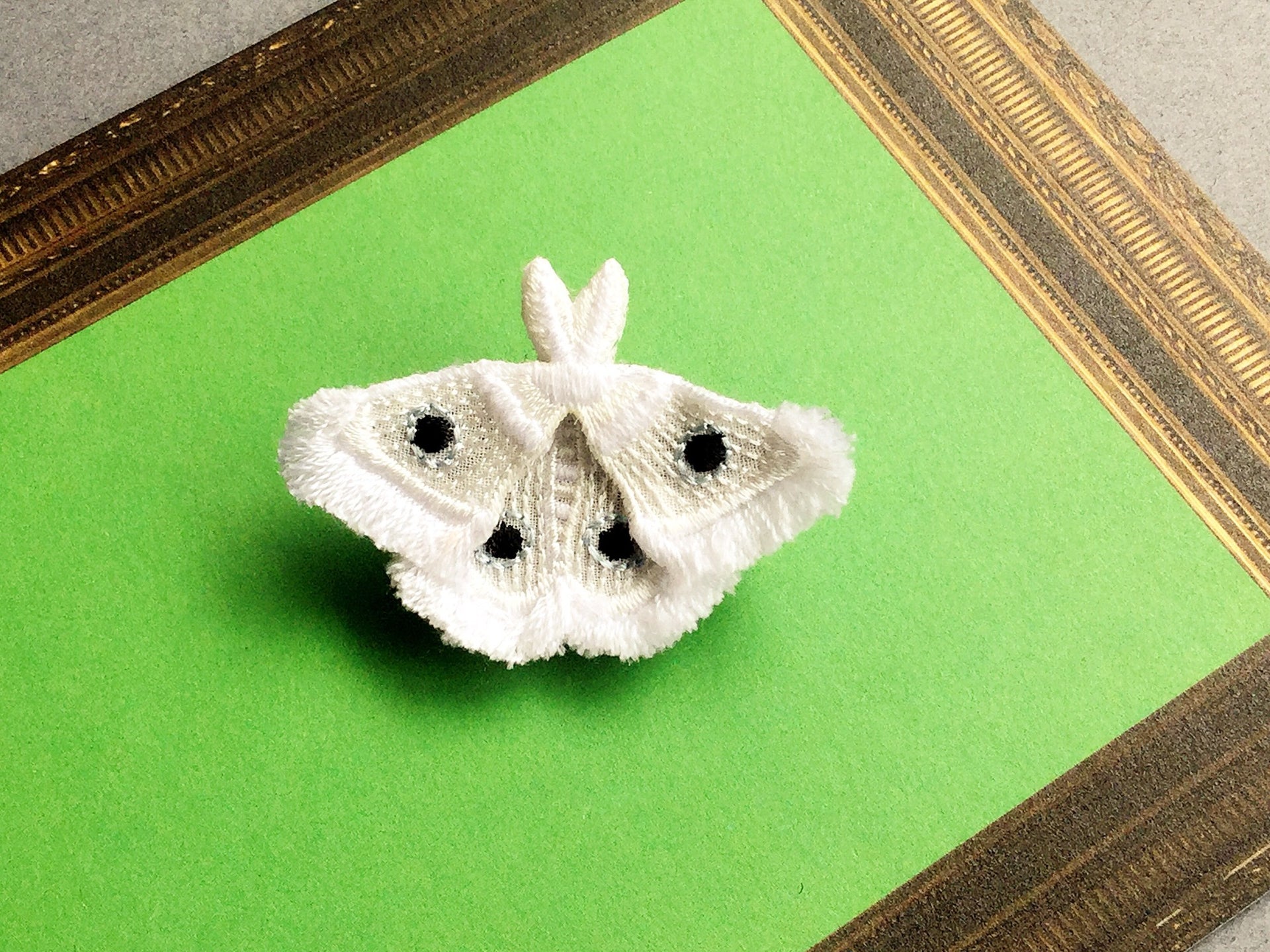 MOTH / BROOCH / WHITE