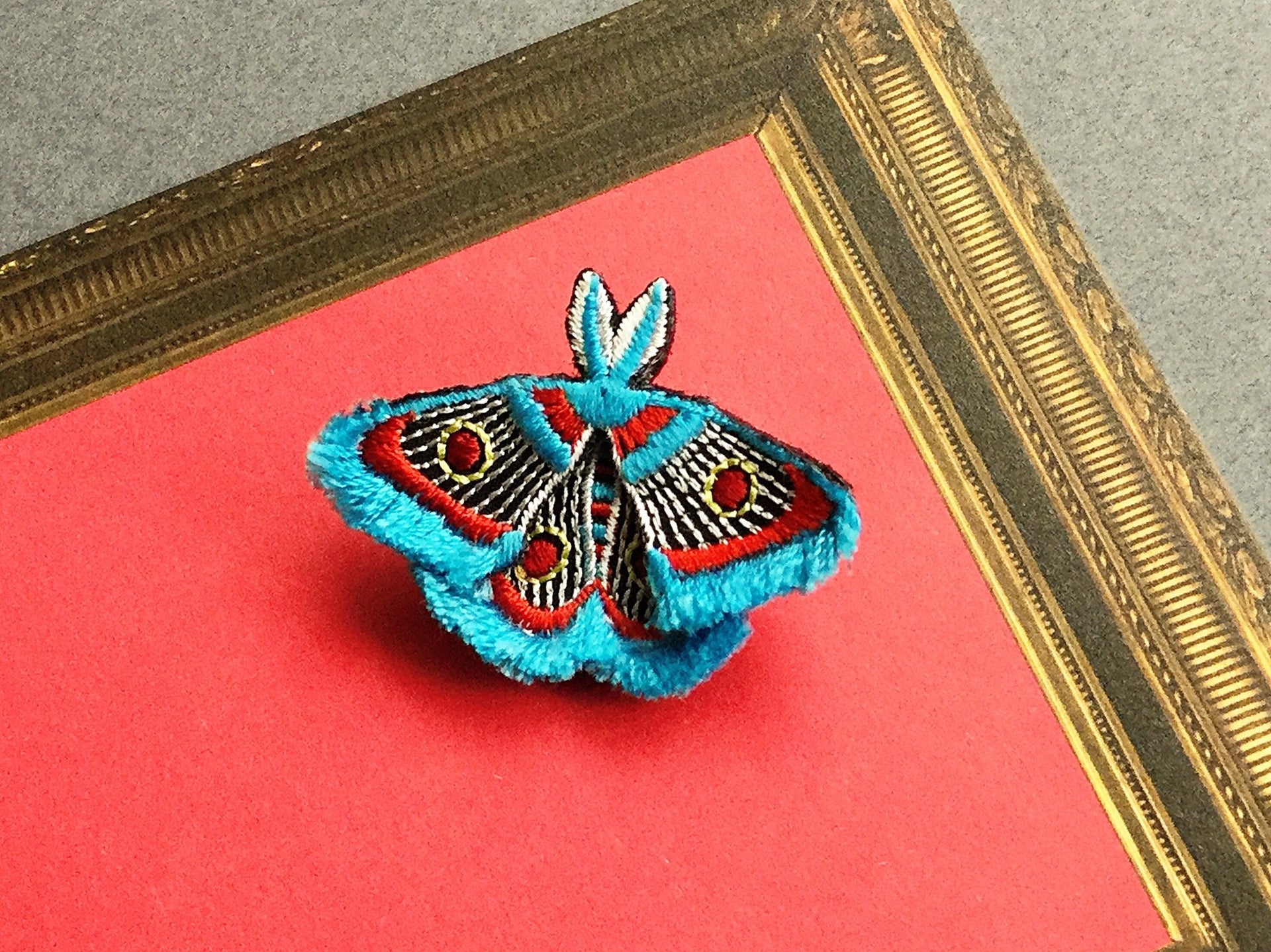 MOTH / BROOCH / TURQUOISE