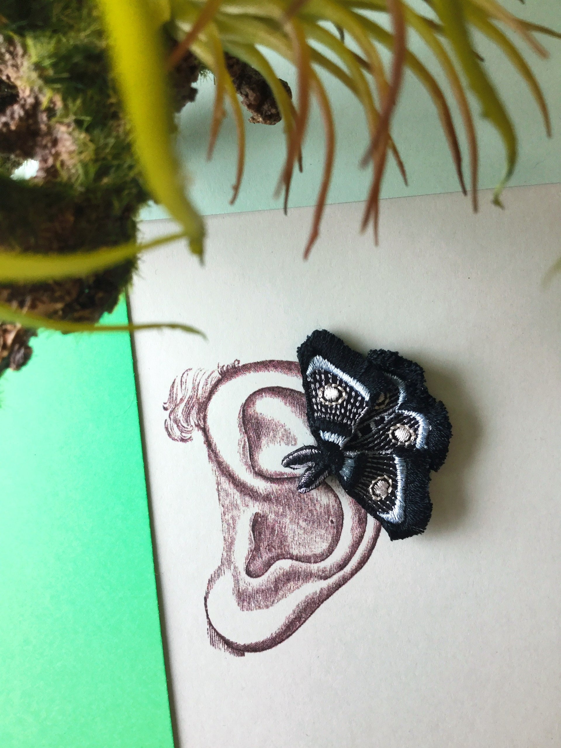 MOTH / EARRING EAR-CLIP / BLACK